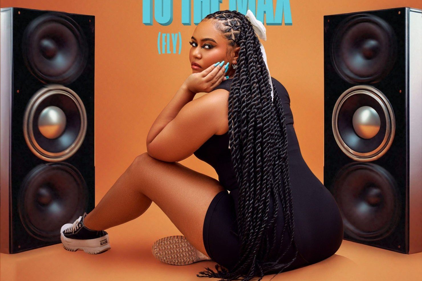 Copy-of-ShakeItToTheMaxFLY_ARTWORK-scaled~2