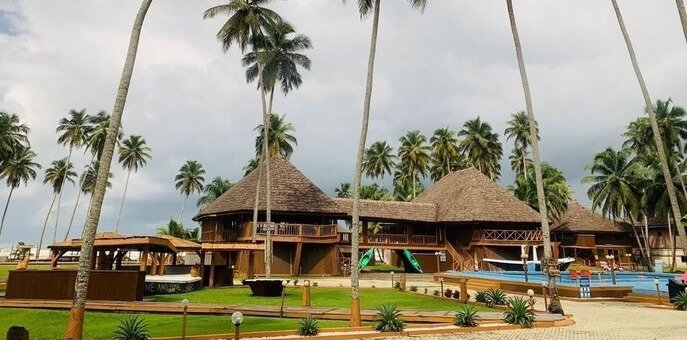 1000174741_optimized_100