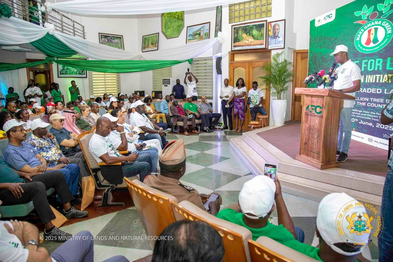 Deputy Lands Minister Appeals for Global Support to Combat Illegal Gold Mining in Ghana 3