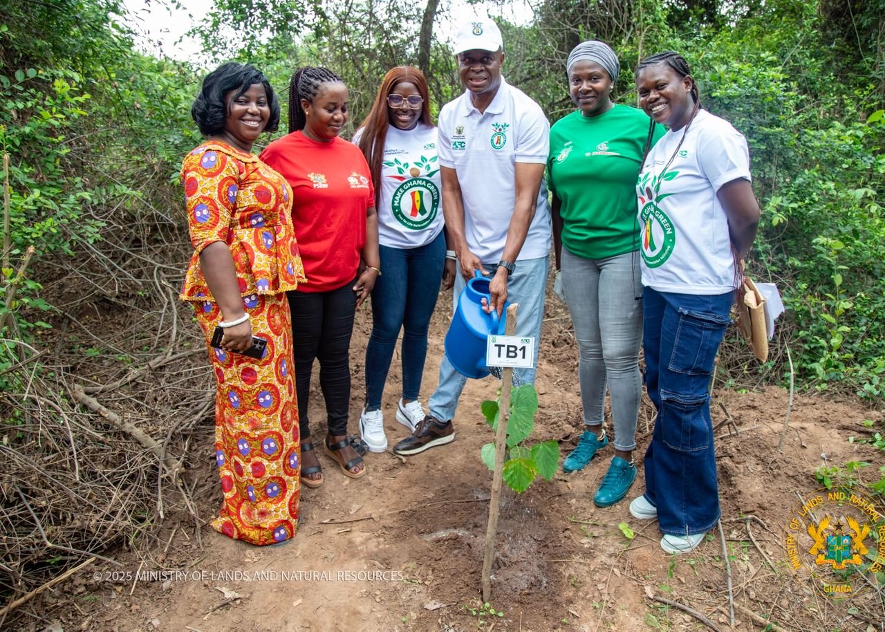 Deputy Lands Minister Appeals for Global Support to Combat Illegal Gold Mining in Ghana 2