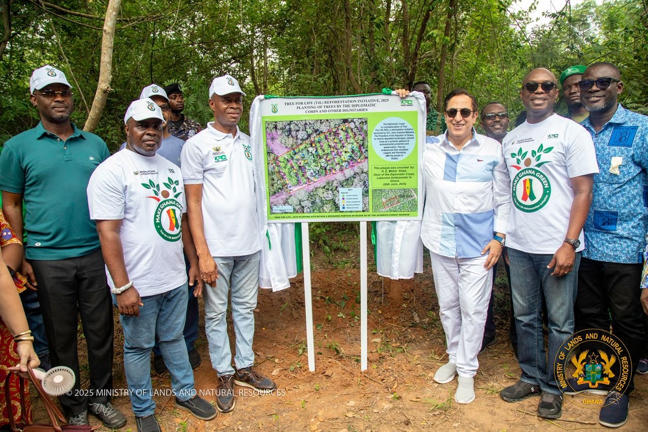 Deputy Lands Minister Appeals for Global Support to Combat Illegal Gold Mining in Ghana 1