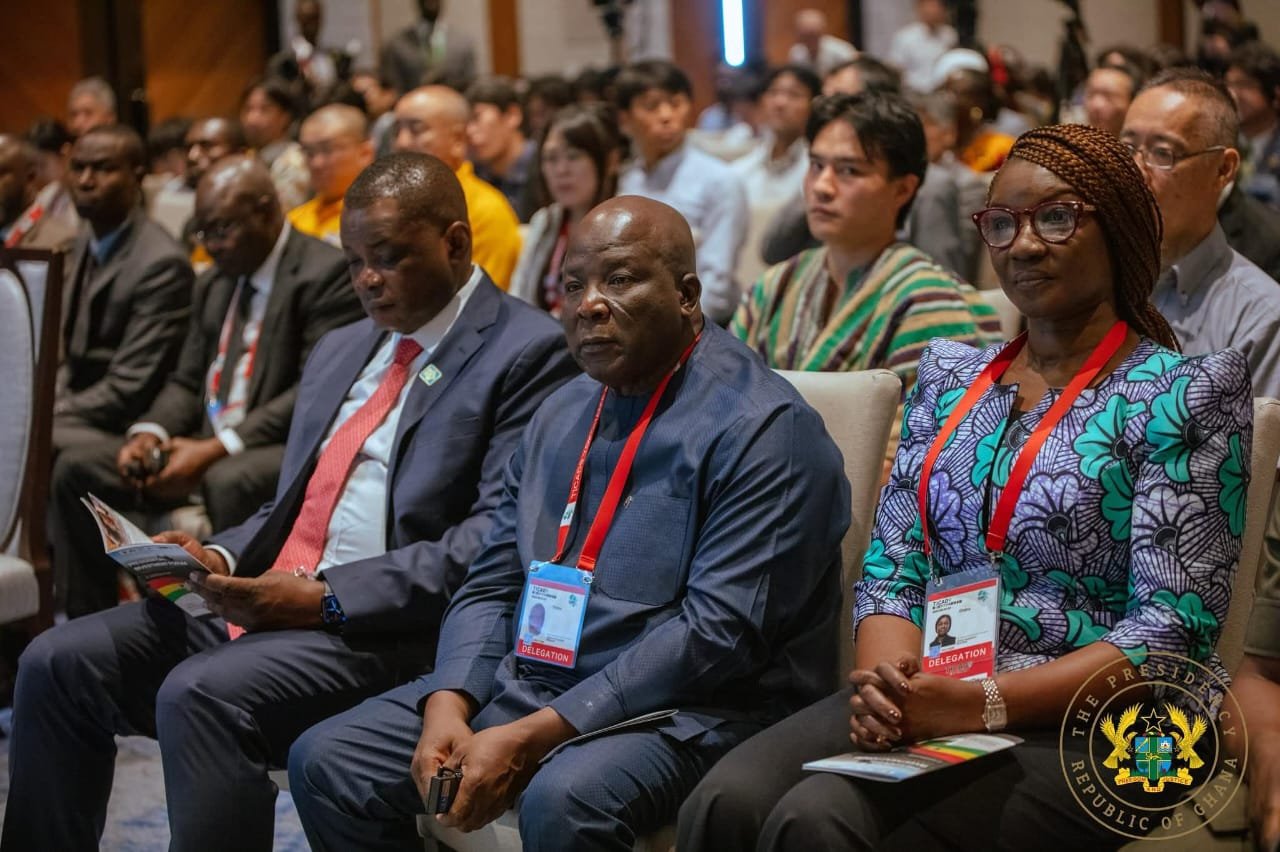 Take Advantage Of Ghana’s 24-hour Economy Policies, Initiatives For Investments - Trade Minister To Japanese Investors 1