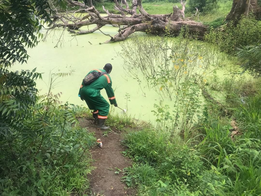 Zoomlion Ghana Leads National Charge to Eliminate Malaria at Source 1