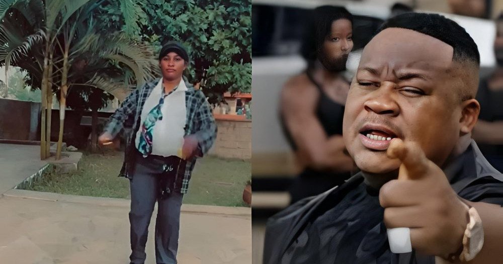 CREATOR: gd-jpeg v1.0 (using IJG JPEG v80), quality = 82