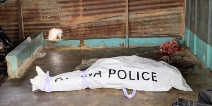 WhatsApp-Image-2025-09-21-at-14.51.03_81fdb849-750x375