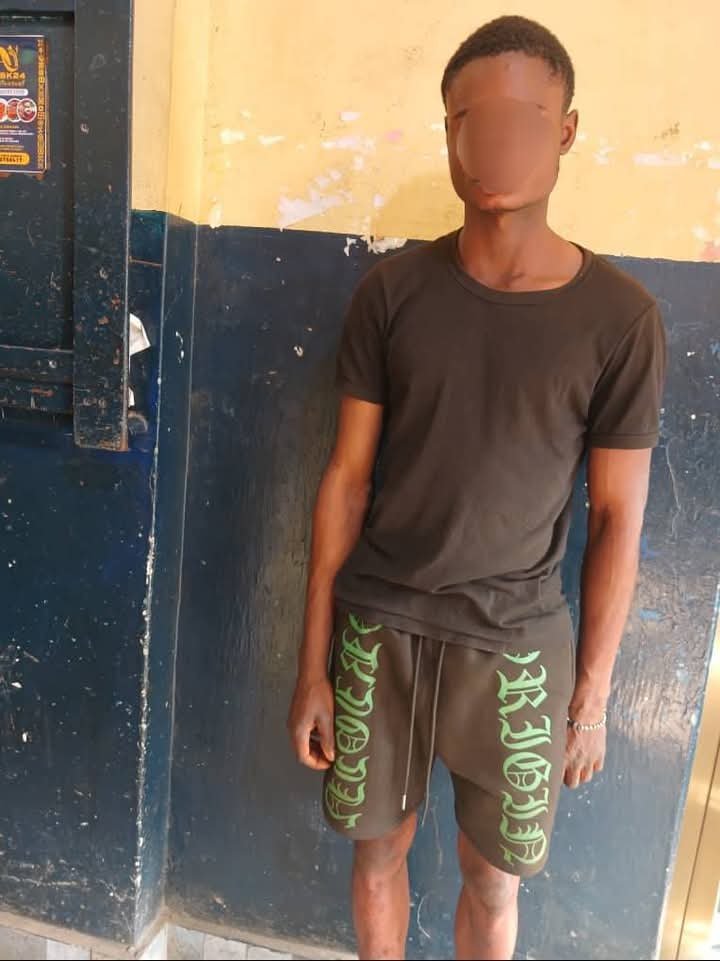 FB IMG 1764264318826 FB IMG 1764264318826