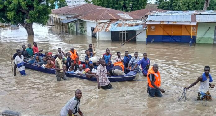 World Bank Urges Expanded Digital Access to Protect Vulnerable Communities and Natural Resources