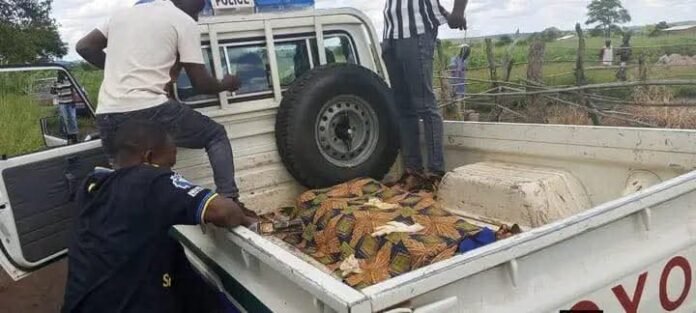 The bodies of the two boys who drowned in the soak-away laying in a truck