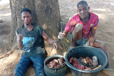 Nigeria: Troops Kill Armed Bandit, Arrest Five in Coordinated Anti-Rustling Operations Across Benue, Nasarawa