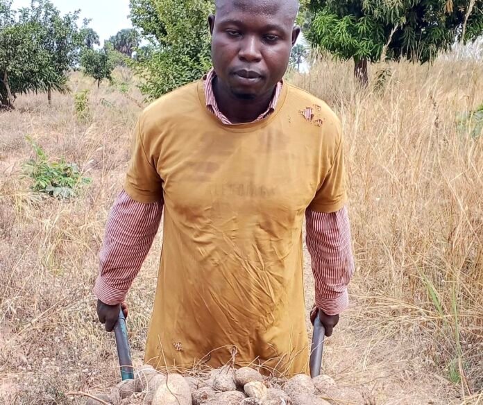 Nigerian Farmer Escapes Venomous Snake Bite on Yam Farm