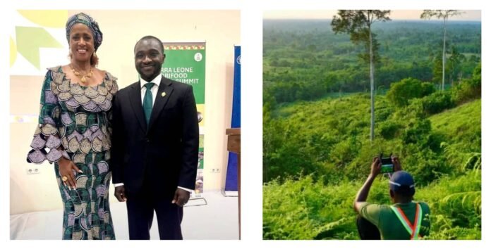 Rainforest Builder Unveils $250 Million Project To Restore Sierra Leone’s Forests