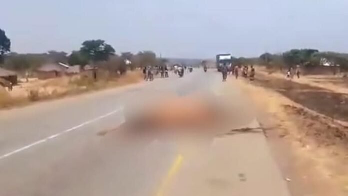 FB_IMG_1759654166412