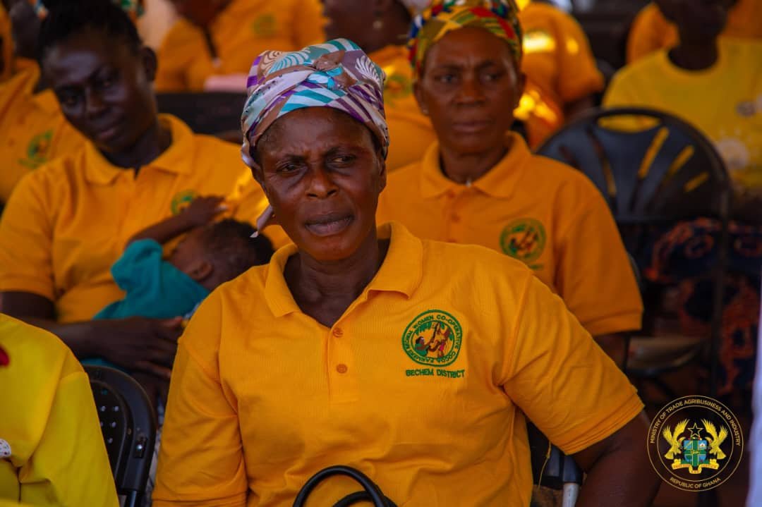 Ghana: Trade Minister Champions Women’s Role In Agribusiness Transformation At BAWCOF Festival 4