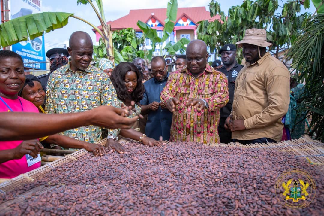 Ghana: Trade Minister Champions Women’s Role In Agribusiness Transformation At BAWCOF Festival 1