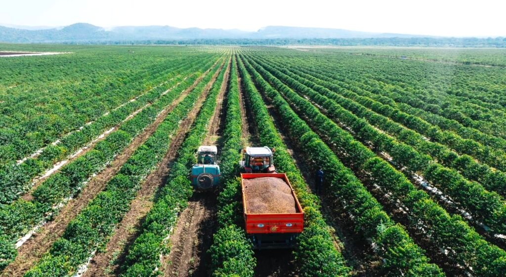 Experts Urge African Leaders to Empower Farmers as Key Drivers of Food ...