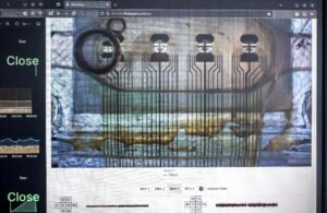 Scientists Create ‘Wetware’ Computers Using Living Human Brain Cells 1