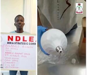 Nigeria: NDLEA Arrests UK-Based Health Worker, Intercepts Hard Drugs Hidden in Electric Bulbs, Frozen Snails, and Car Compartments 2