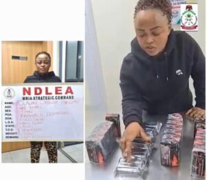Nigeria: NDLEA Arrests UK-Based Health Worker, Intercepts Hard Drugs Hidden in Electric Bulbs, Frozen Snails, and Car Compartments 1
