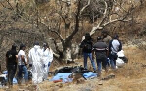 48 Bags of Human Remains Uncovered in Mass Grave Near Guadalajara, Mexico 1