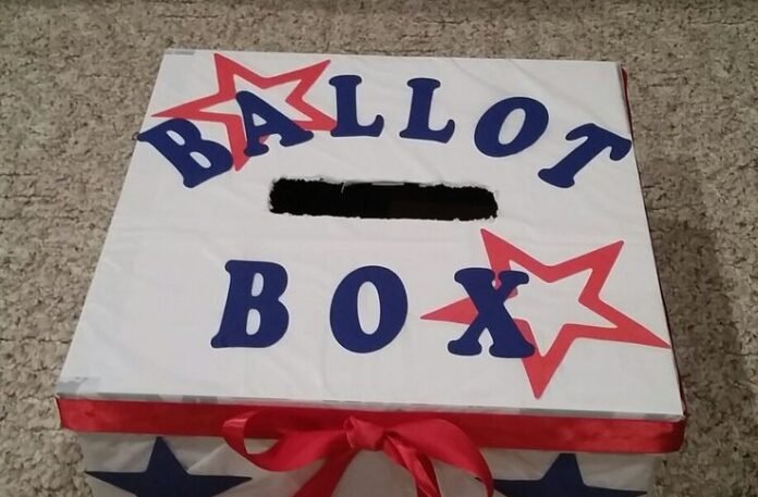 The Colour Of Our Votes: When Colour Blindness Wins! - Reflections Of Lawyer Chericoco