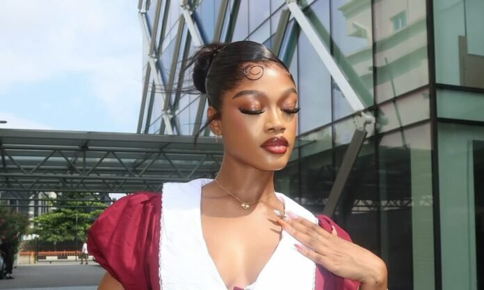 Shock: Painter Allegedly Consumes Diana Eneje’s ₦950,000 Champagne While Working on Project