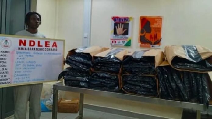 Nigeria: NDLEA Raid Cannabis Laboratory In Lagos
