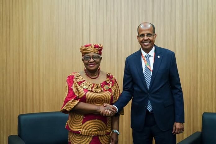 AU Commission Chairperson Meets WTO Director-General at COP30 Summit in Brazil