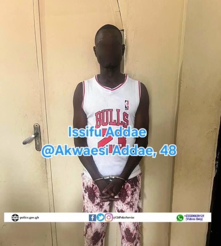 FB IMG 1763026996258 FB IMG 1763026996258