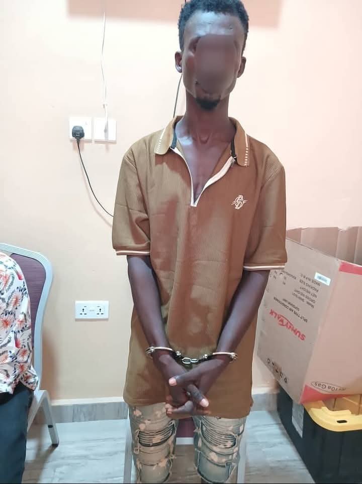 FB IMG 1764264323545