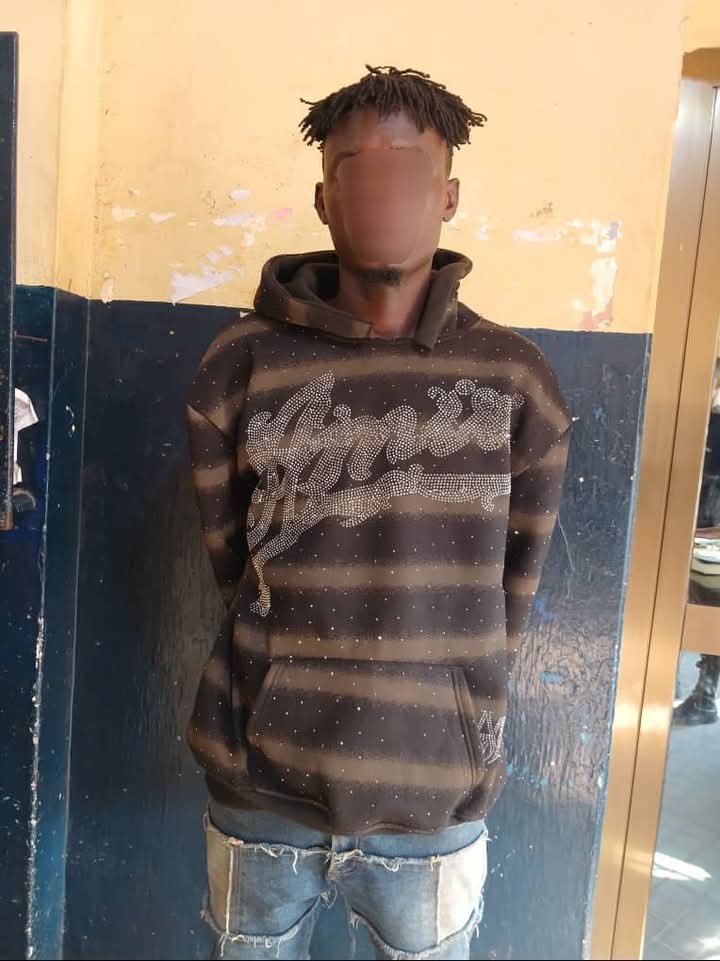 FB IMG 1764264331952