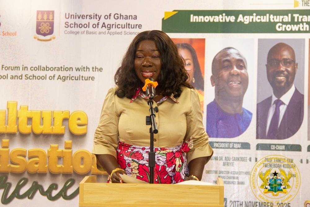 Hon. Elizabeth Ofosu-Adjare, 