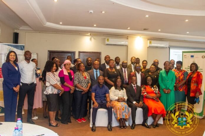 Ghana Deepens AfCFTA Readiness As Trade Ministry and GIZ Hold Workshop On Regulatory Audit and Reforms