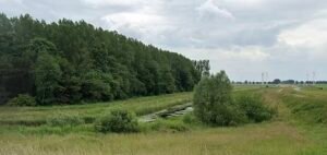 Netherlands Opens Trial Into Teen’s Alleged Honour Killing,Brothers Charged, Father Accused of Ordering Attack