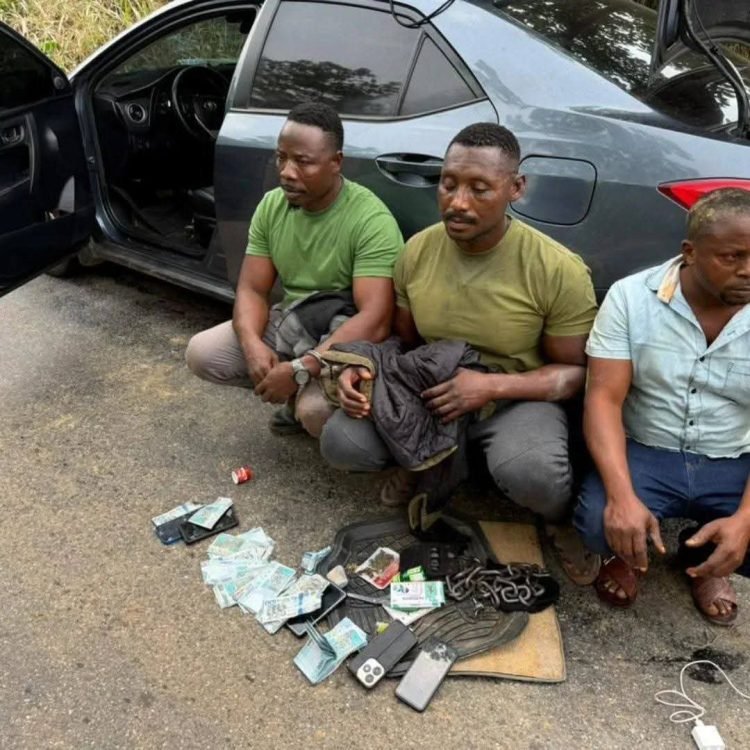 WhatsApp Image 2025 11 08 at 08.58.53 c3435368 750x750