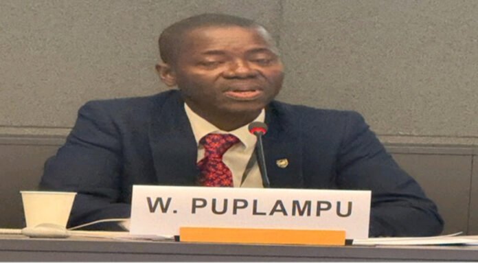 Wisdom Puplampu: Ghana Poised To Lead In Global Lithium Market