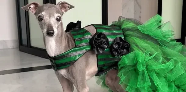 b096eac7439e459e97373b1c54f34127 md