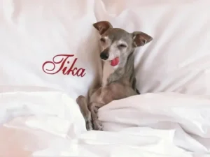 db6b144476f44f8d9ad3c813bfb87bf2 md