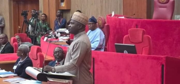 Nigeria: Senate Confirms Former CDS Musa As Defence Minister