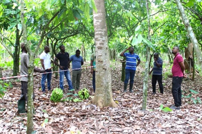 Restoring Ghanas Forests and Livelihood
