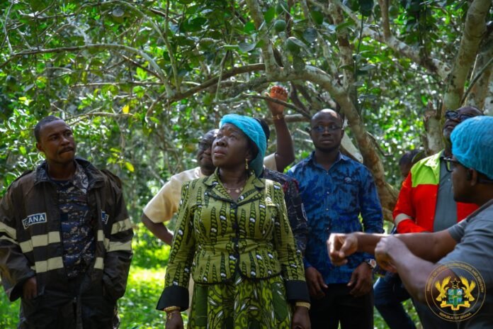 Hon. Elizabeth Ofosu-Adjare pictured during her visit to Ekumfi Juice Factory on Friday, December 19, 2025 Hon. Elizabeth Ofosu-Adjare pictured during her visit to Ekumfi Juice Factory on Friday, December 19, 2025