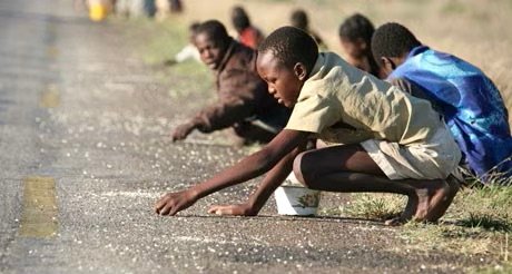 FEWS NET Warns Zimbabwe Could See Expanded Crisis-Level Hunger in Early 2026 FEWS NET Warns Zimbabwe Could See Expanded Crisis-Level Hunger in Early 2026