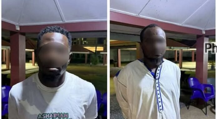 The jewelry shop robbery suspects