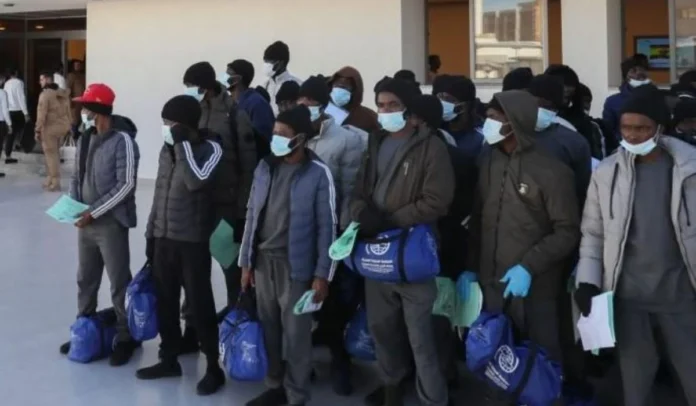 Canada Deported 366 Nigerians in 10 Months: Analysis of the 2025 Immigration Enforcement Surge