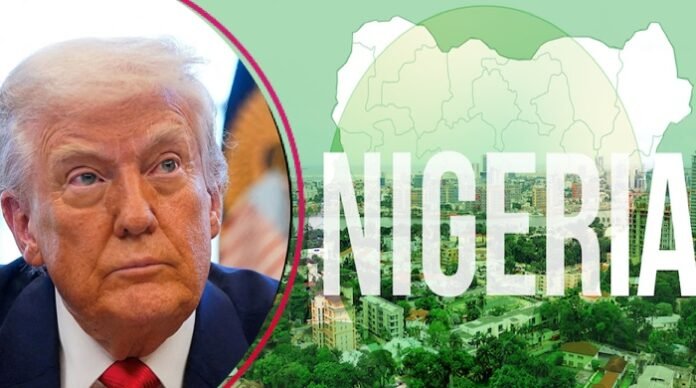 US President Donald Trump Claims One-Third of Nigerian Immigrant Households Rely on Public Assistance
