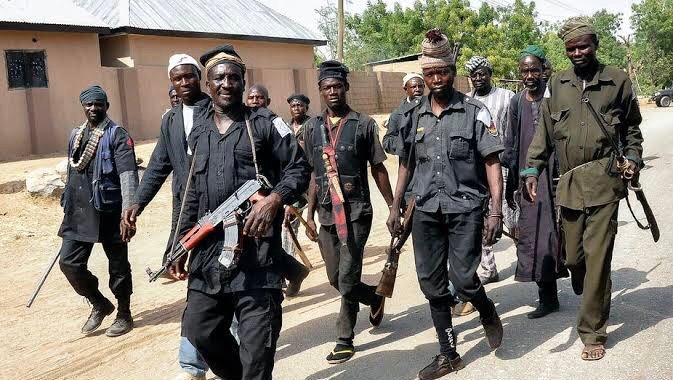 Nigeria: Vigilantes Allegedly Drive Nail Into Young Man’s Head Over Chicken Theft Allegation in Zari Nigeria: Vigilantes Allegedly Drive Nail Into Young Man’s Head Over Chicken Theft Allegation in Zari
