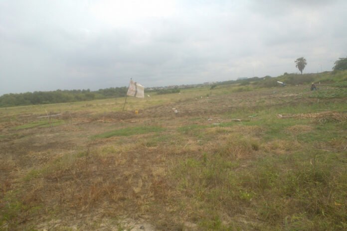 Land