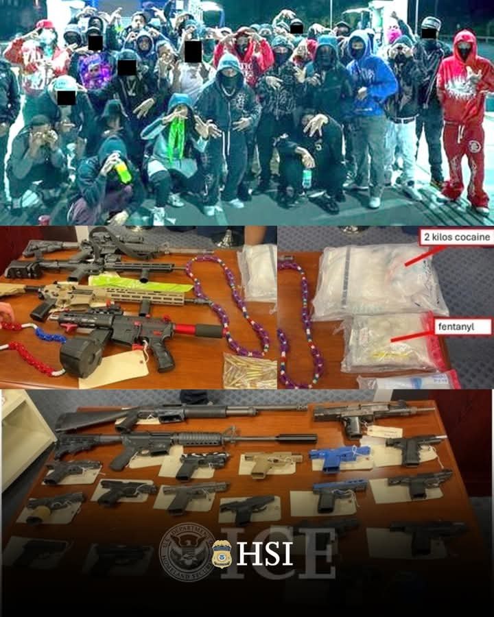 Trinitarios gang members and weapons allegedly seized from them